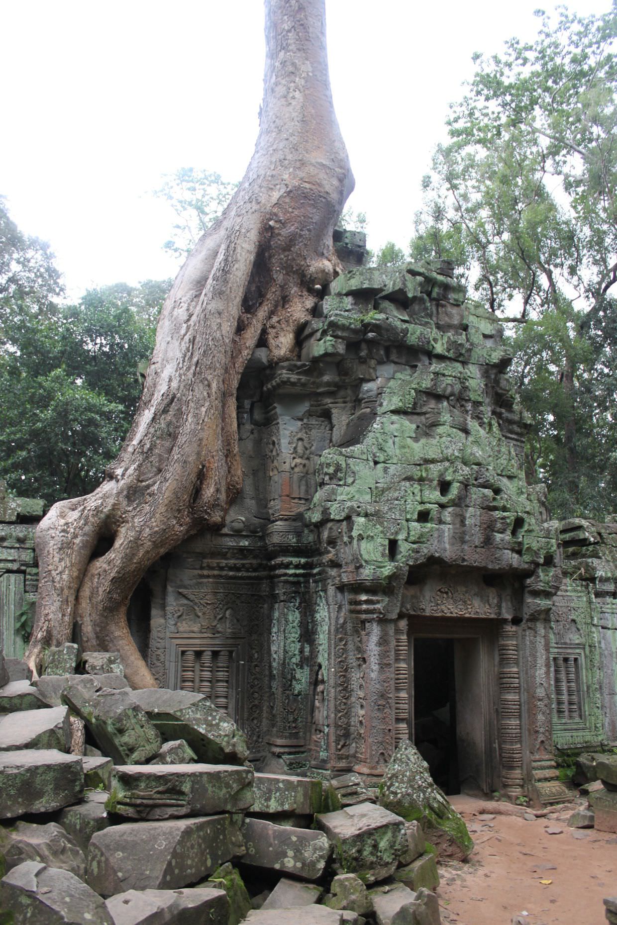 Exploring Ta Prohm