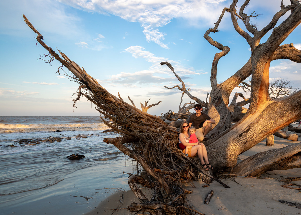 Family portrait on driftwood beach