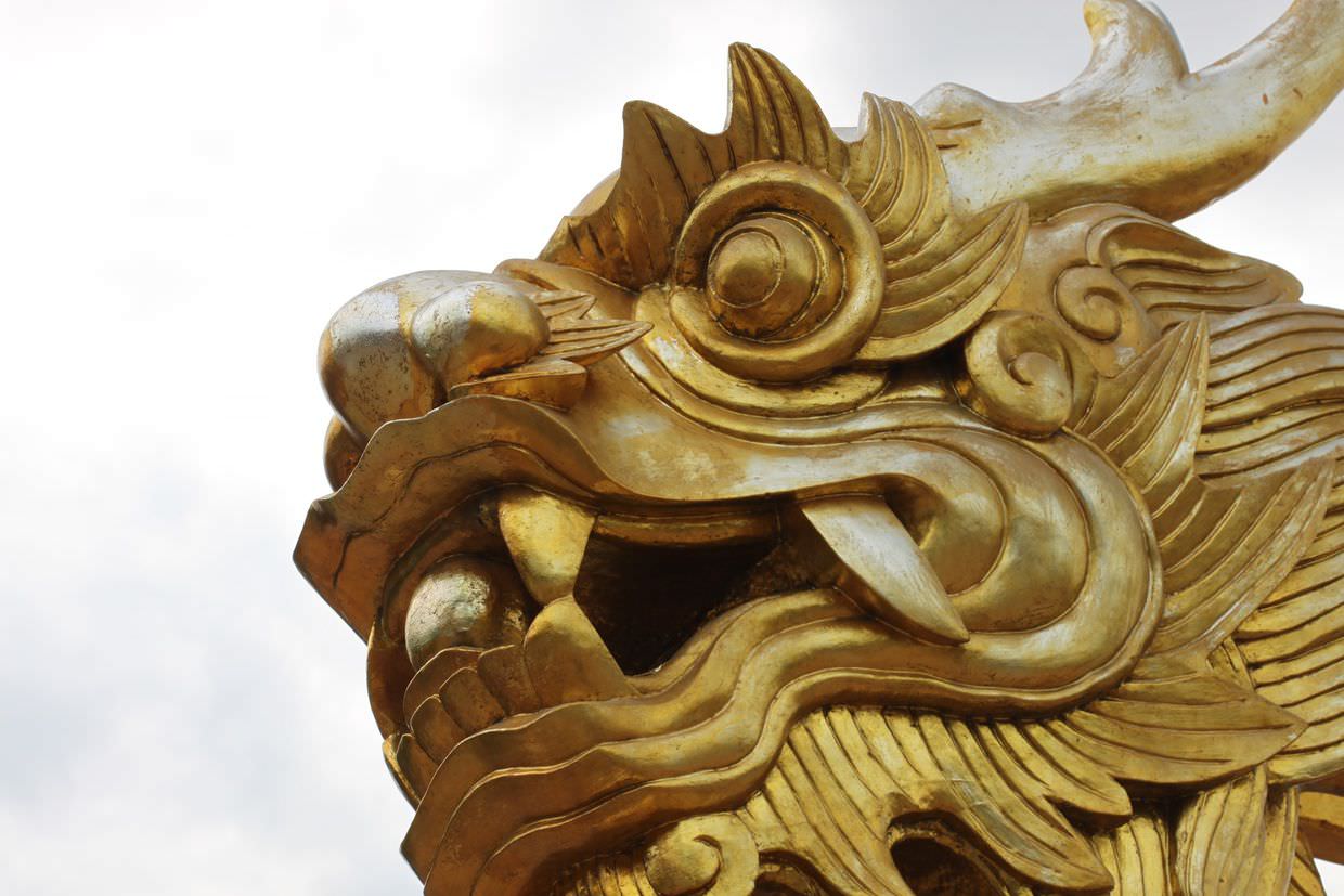 A bemused golden dragon