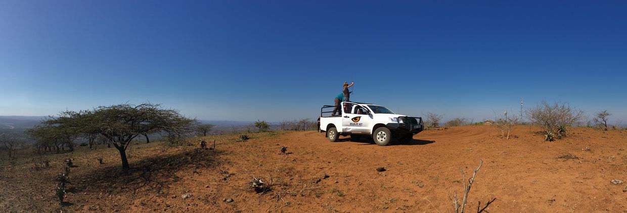 Scanning for wildlife on Mpila hill