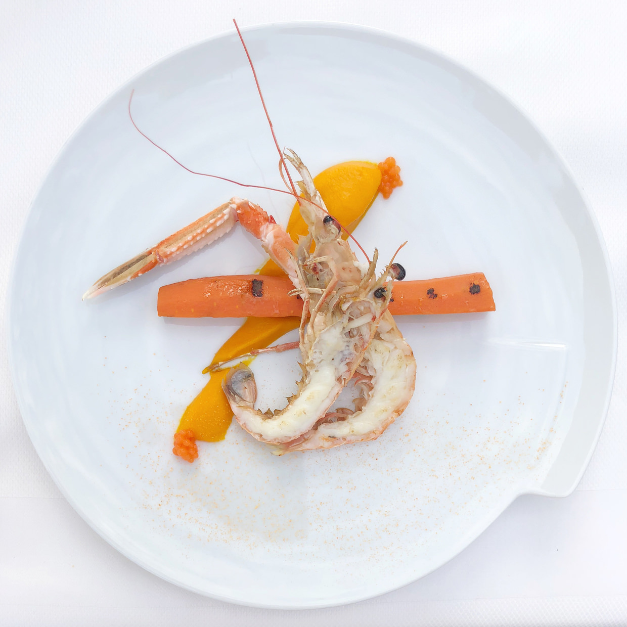 Carrot and Adriatic shrimp