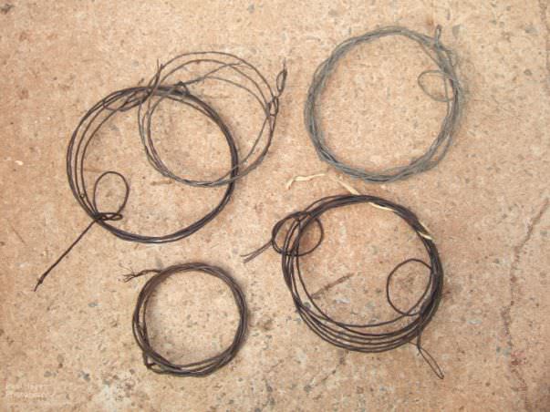 Examples of wire snares used by poachers