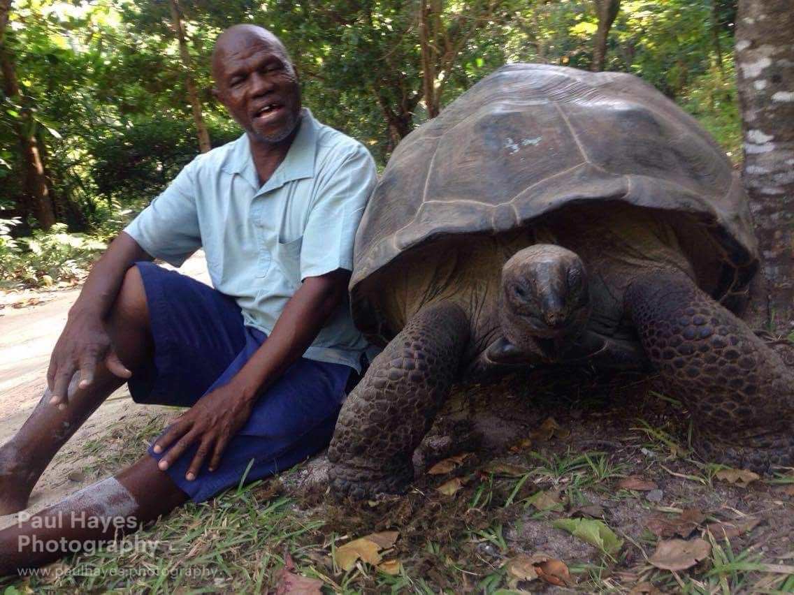 Elliot and a tortoise